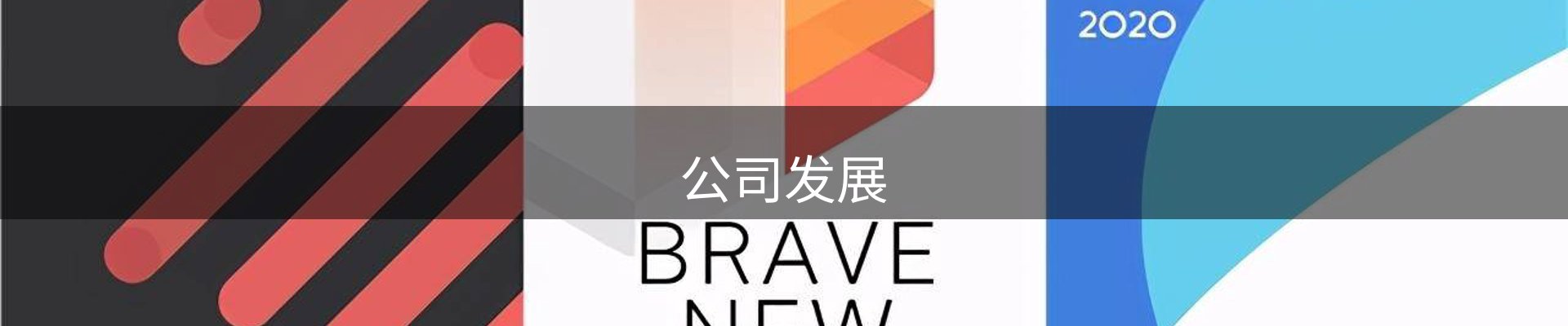 公司发展
